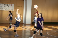 /album/galleria-foto-homepage/pallavolo-miriel-017-jpg1/